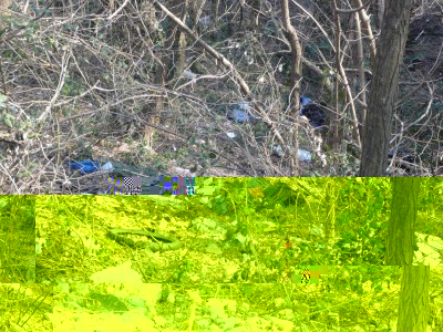 Brega-2.jpg