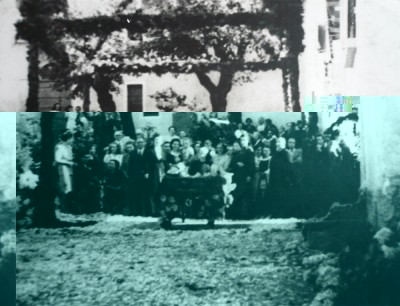 Gemolo-1.jpg