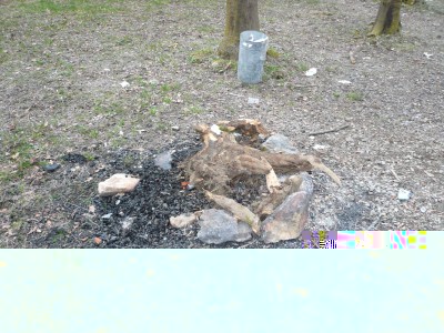 Fuoco.jpg