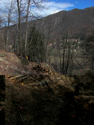 CIMG5324.JPG