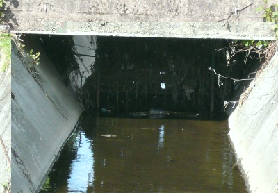 Valma4.jpg