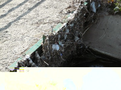 Valma2.jpg
