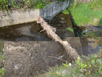 Valma-2.jpg