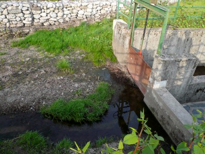 Valma-1.jpg