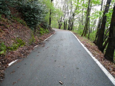 strada-pulita.jpg