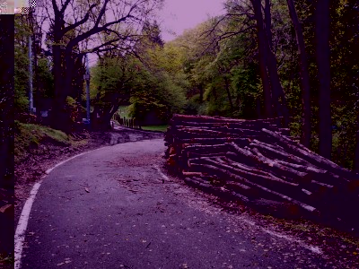 Strada-7T-3.jpg