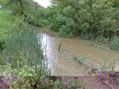 Bevera2.jpg