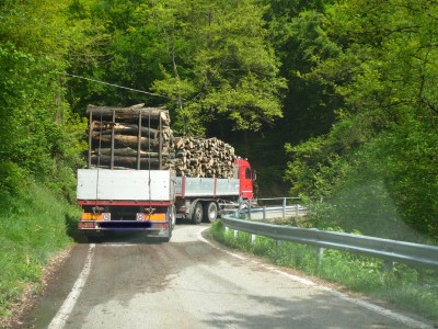 Tir-1.jpg