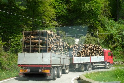 Tir-2.jpg