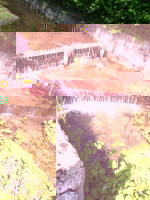 Valma-3.jpg