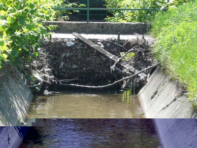 Canale-2.jpg