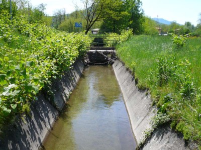 Canale-1.jpg