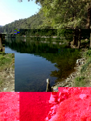 Sponda lago di Ghirla 2009.jpg