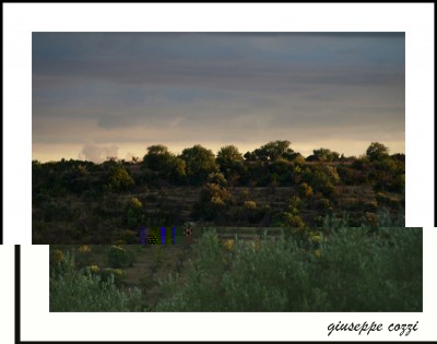 noto 034.JPG