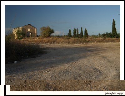 noto 205.JPG