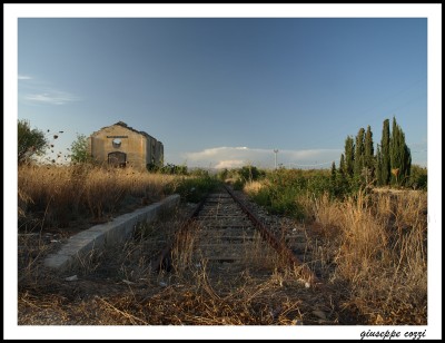 noto 208.JPG