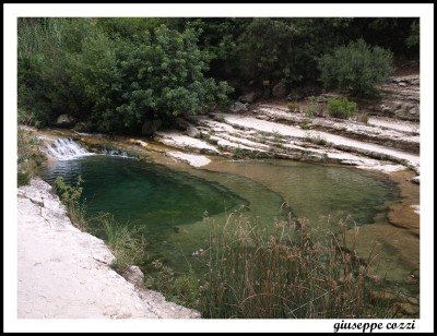noto_267.JPG