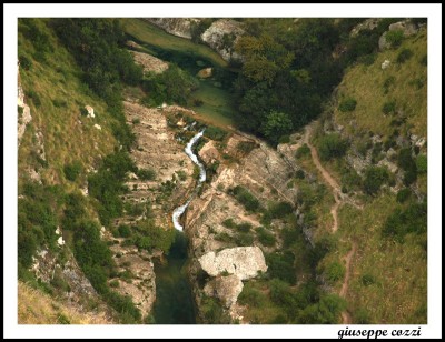 noto_237.JPG