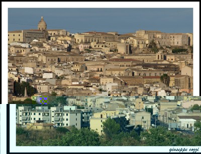 noto 061.JPG