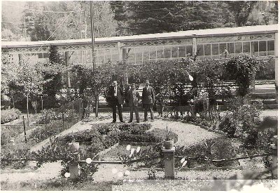 ghirlauq6.jpg