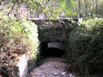 Immagine 116.jpg