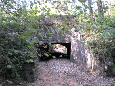 Immagine 117.jpg
