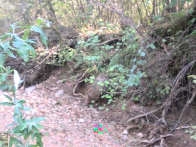 Immagine 119.jpg