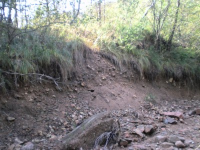 Immagine 120.jpg