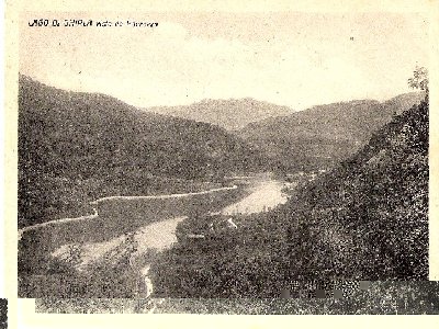 lagoghirlawm3.jpg