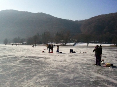 Pattinatori-2.jpg