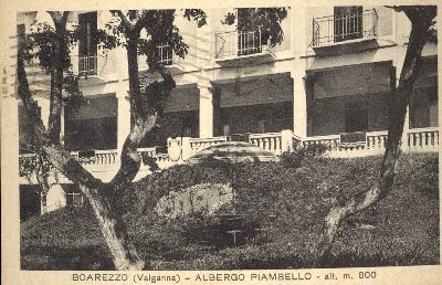 alberoboarezzo2os10.jpg