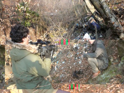 Max-3.jpg