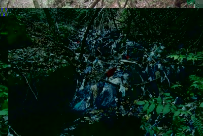 DSCF1052.JPG