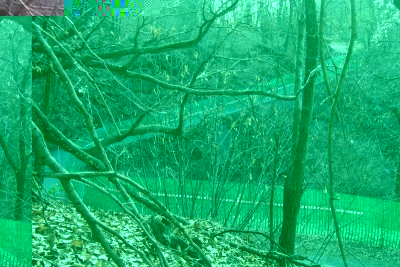 DSCF3944.JPG