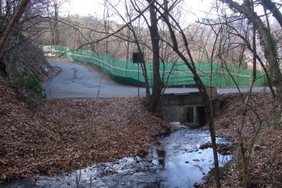 DSCF3958.JPG