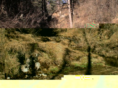 DSCN0195.jpg