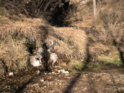 DSCN0194.jpg
