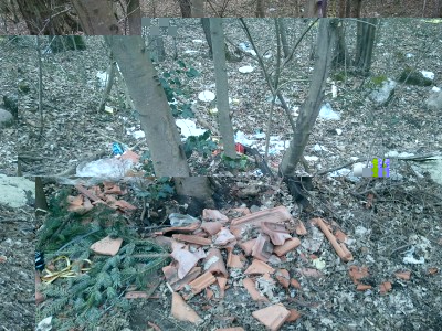 Foto-1.jpg