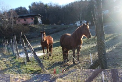 DSCF3614.JPG