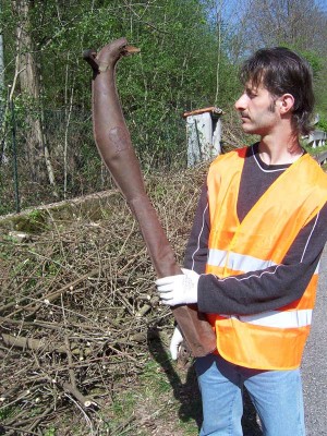 eco.2011.6web.jpg