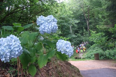 DSCF5332.JPG