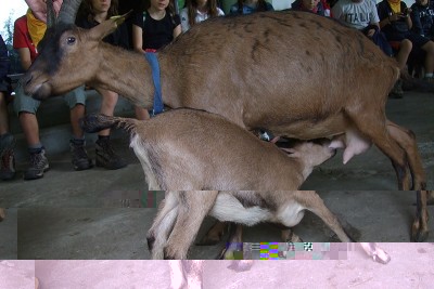 DSCF5492.JPG