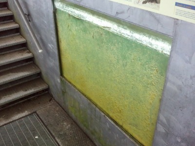3-vetro.jpg