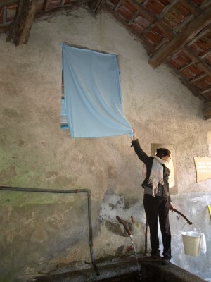 Dipinto svelato 1.jpg