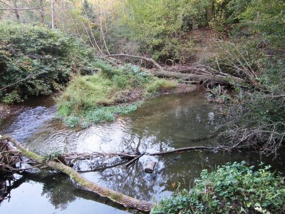 Margorabbia 1.JPG