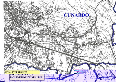 Pulizia fiumi - CUNARDO 2011.jpg