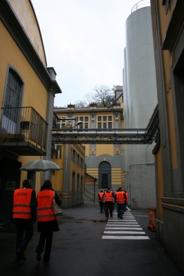 IMG_6530.jpg