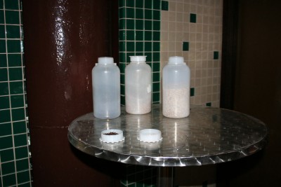 IMG_6546.jpg