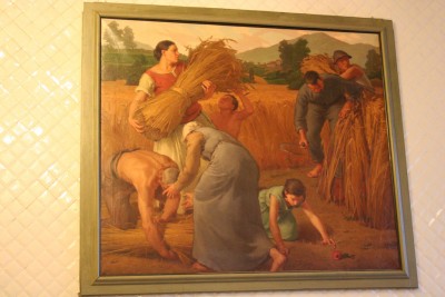 IMG_6548.jpg
