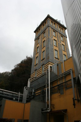 IMG_6553.jpg